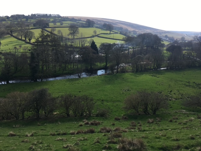 Moorland views with grazing pony